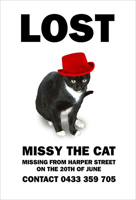 lost cat funny