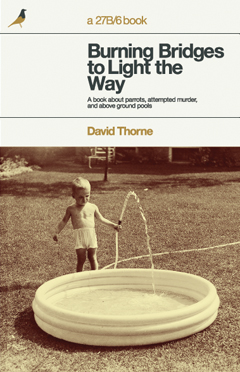 Burning Bridges to Light the Way by David Thorne