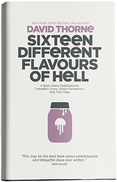 Sixteen Different Flavours of Hell by David Thorne